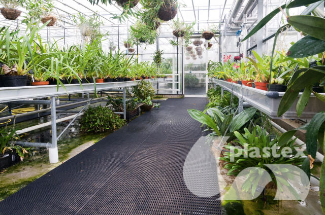 تم تركيب حصيرة فايناجريب في مشاتل البيوت الزجاجية لحدائق الجمعية الملكية للبستنة (RHS) للمساعدة في منع الزائرين من الانزلاق على الأسطح الرطبة.